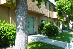 walnut_0002_walnut-21
